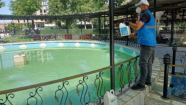 Üvez ve sivrisineğe karşı belediye sahada