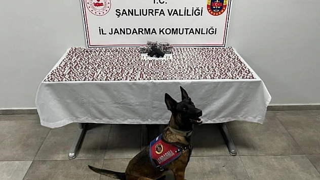 Uyuşturucu operasyonu: 2 gözaltı