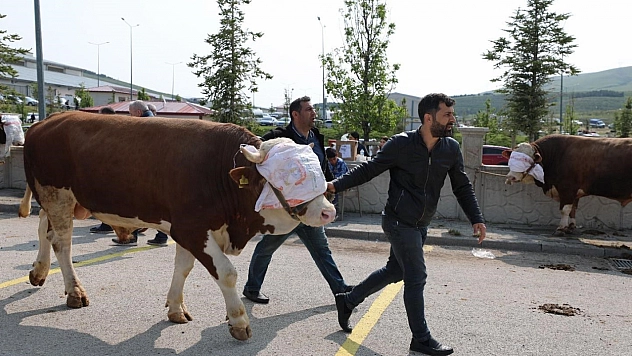 Vatandaş mobil mezbahanelere koştu