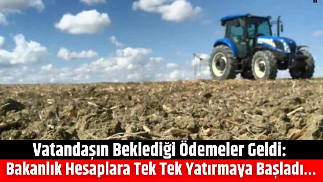 Vatandaşın beklediği ödemeler geldi: Bakanlık hesaplara tek tek yatırmaya başladı…