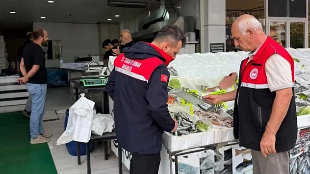 Vatandaşın sofrasına giden balıklar denetlendi