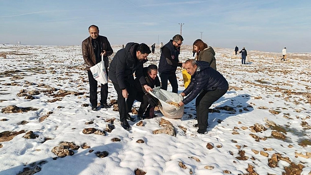 Yaban hayvanları için doğaya yem bırakıldı