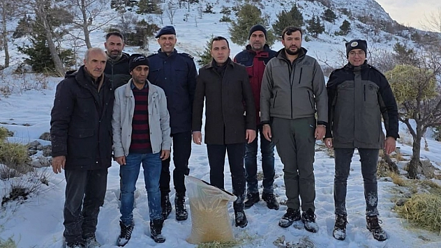 Yabani hayvanlar için doğaya yem bırakıldı