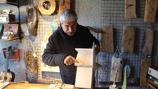 Yarım asırdır ağaçlara şekil veriyor