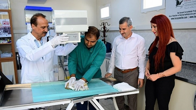 Profesyonel cihazlarla tedavi