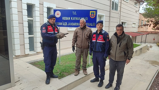 Yaralı kartal tedavi altına alındı