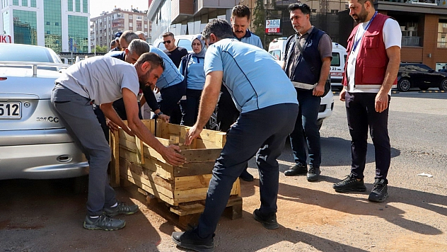 Yerinde Çözüm ekipleri 800 vatandaşla sahada buluştu