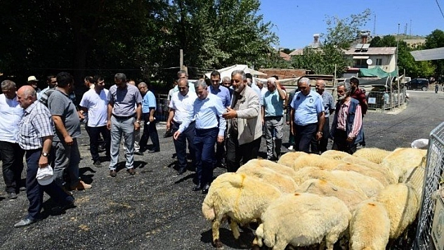 Tedbirler üst seviyeye çıkartıldı