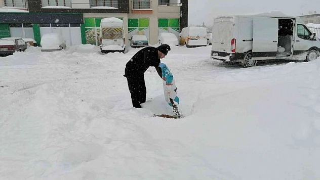 Sokak hayvanları unutulmadı