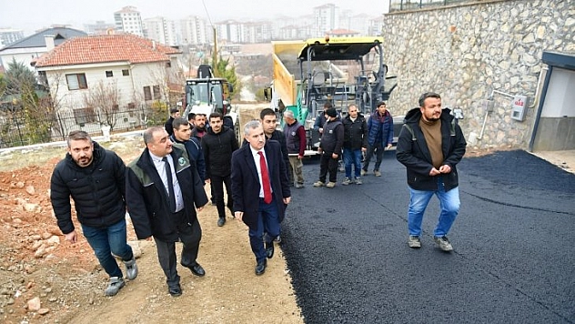Çınar yol çalışmalarını inceledi