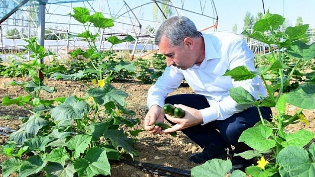 Marka olacağız