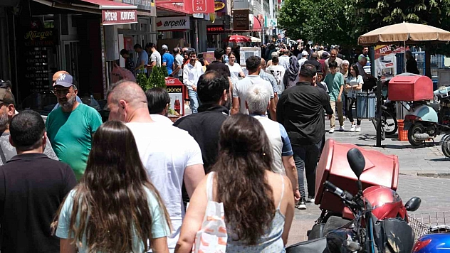 Yurt dışından Erzincan'a 733 kişi göç etti