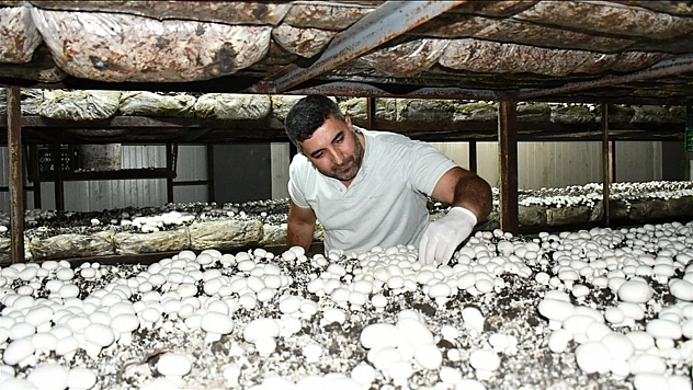 Yüzde 50 hibe ile 12 odalı tesis kurdu, 150 kişiye iş kapısı açtı