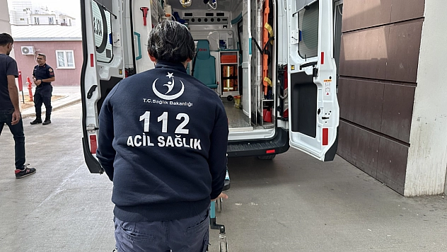 Zeytin ağacından düşen kişi yaralandı