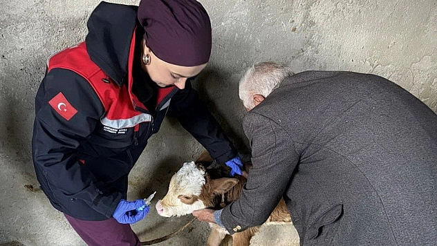 Zoonoz hastalıklara karşı aşılama çalışmaları başladı