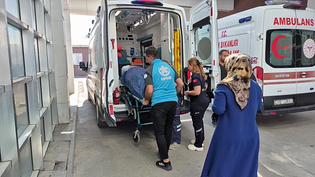 İncir toplarken ağaçtan düştü