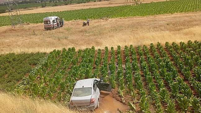 Malatya Adıyaman karayolunda kaza: Otomobil tütün tarlasına düştü: 3 yaralı