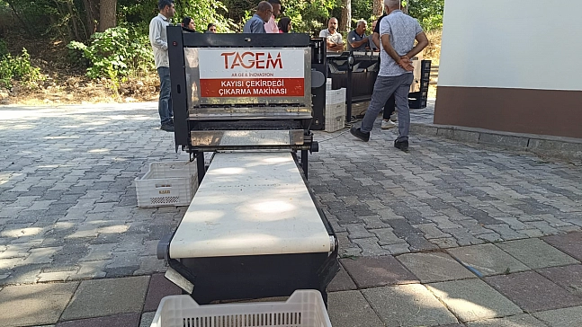 Malatya'da yerli kayısı pırtlatma makinesi görücüye çıktı