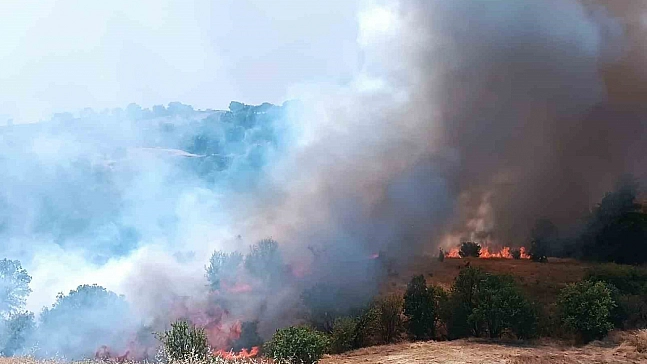 Malatya'da yangın devam ediyor