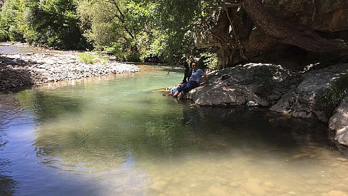 Arapgir'e hayran kaldılar 