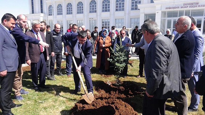 Binlerce fidan toprakla buluştu 