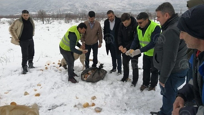 Doğaya yiyecek bırakıldı