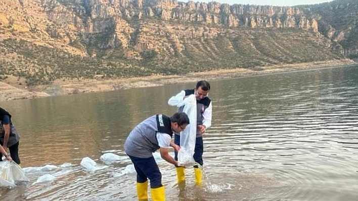 1,3 milyon yavru balık göle bırakıldı