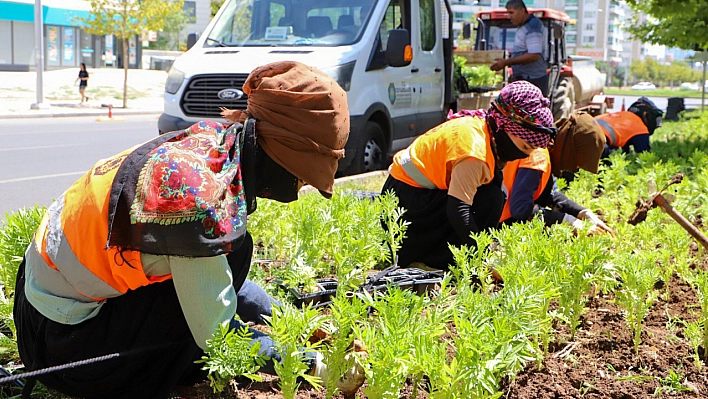 1 milyon 520 bin çiçek toprakla buluştu