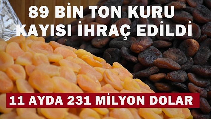 11 ayda 231 milyon dolar