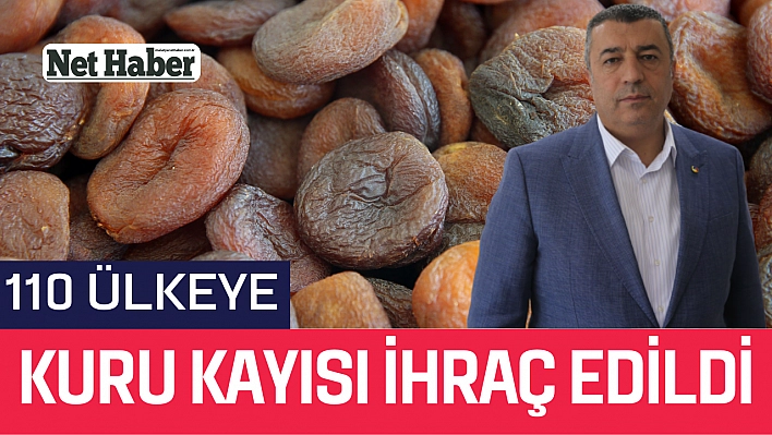 110 ülkeye kuru kayısı ihraç edildi