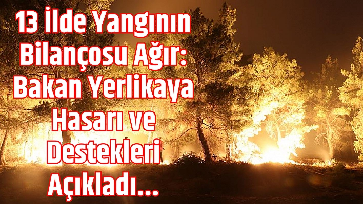 13 İlde Yangının Bilançosu Ağır: Bakan Yerlikaya Hasarı ve Destekleri Açıkladı
