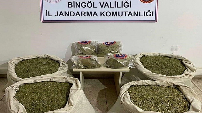 145 kilo esrar ele geçirildi