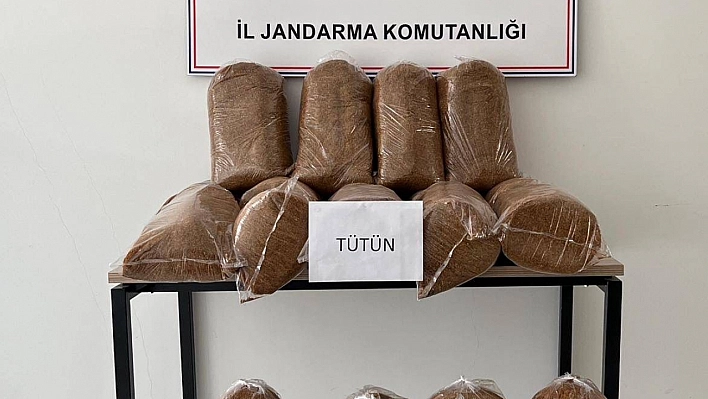 165 kilo kaçak tütün ele geçirildi