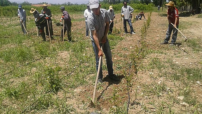 190 işçi alındı