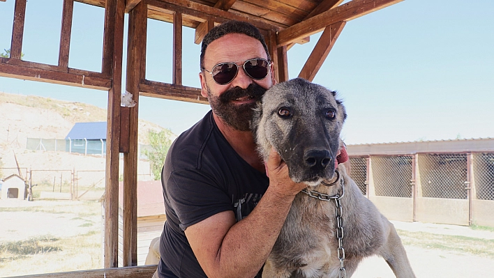 2 Metrelik Yılanı Etkisiz Hale Getirdi