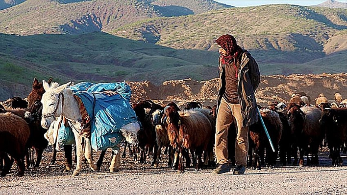 Göçerlerin asırlardır süren çileli yolculuğu