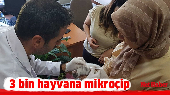 3 bin hayvana mikroçip