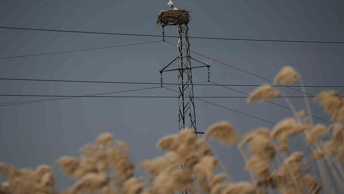 5 bin kilometre yol kat edip Diyarbakır'a geldiler