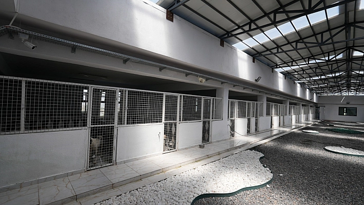 500 hayvan kapasiteli yeni barınak
