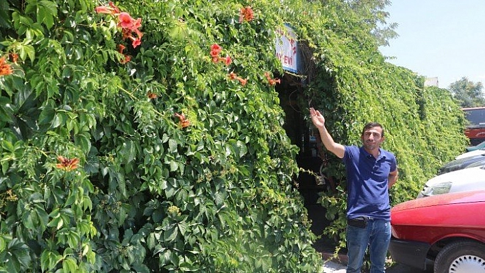 6 yılda her yeri kapladı