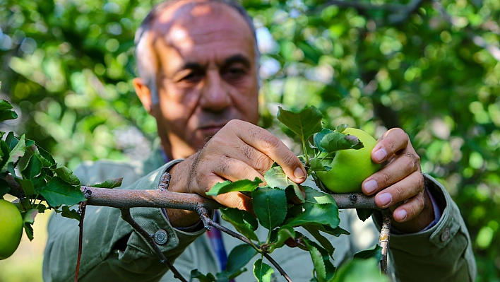 60 dönüm arazide uygulamalı eğitim