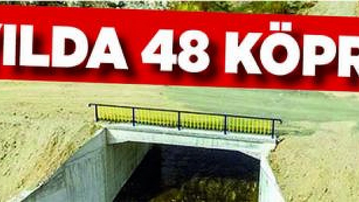 Büyükşehir'den 3 yılda 48 köprü 