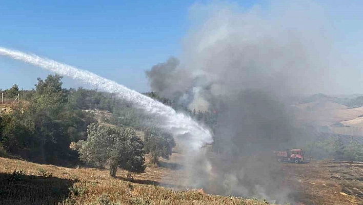 Anız yangını ormanı küle çevirdi