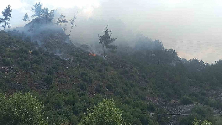 Adana'da orman yangını