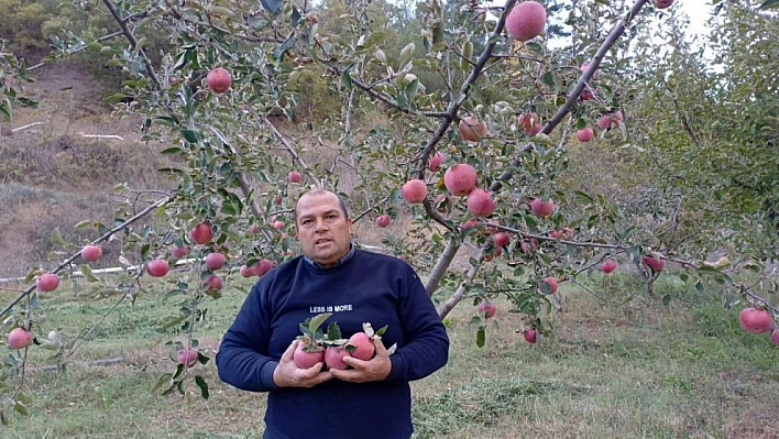 Adana'da Zirveye Kar Yağdı, Elma Hasadı Erken Yapıldı!