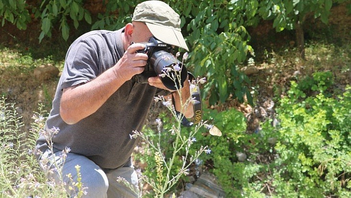 150 tür kelebeği fotoğrafladı