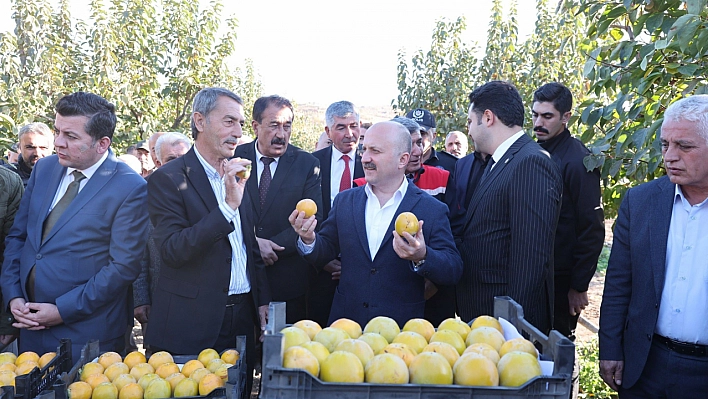 Adıyaman'da hurma hasadı