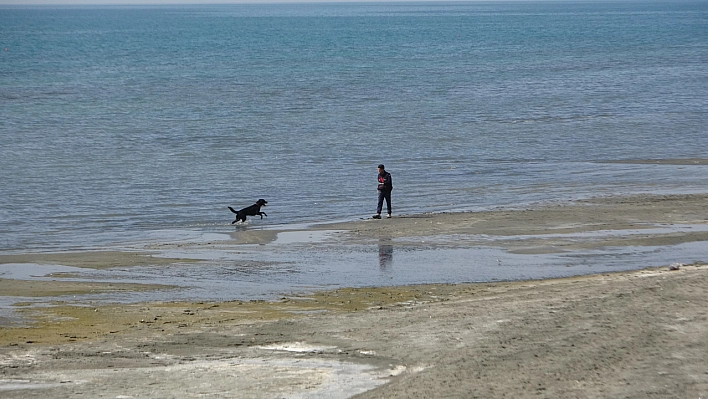 AFAD'dan kayıp kız için köpekli arama