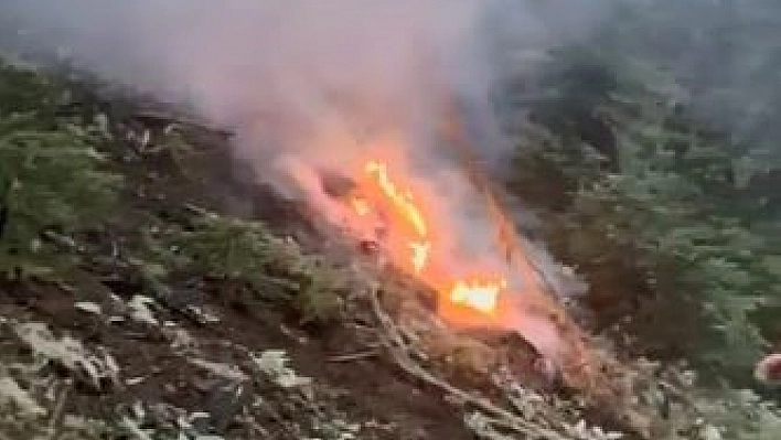 Ağaca yıldırım düştü, ormanda yangın çıktı