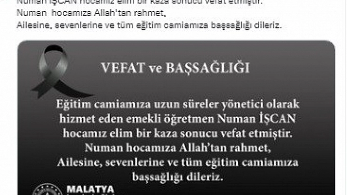 Ağaçtan düşüp hayatını kaybetti